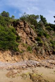 Lacona auf Elba