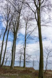 Am Brodtener Ufer