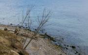 Am Brodtener Ufer
