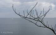 Am Brodtener Ufer