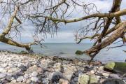 Am Brodtener Ufer