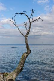 Am Brodtener Ufer