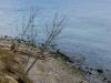 Am Brodtener Ufer