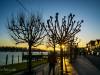 An der Trave