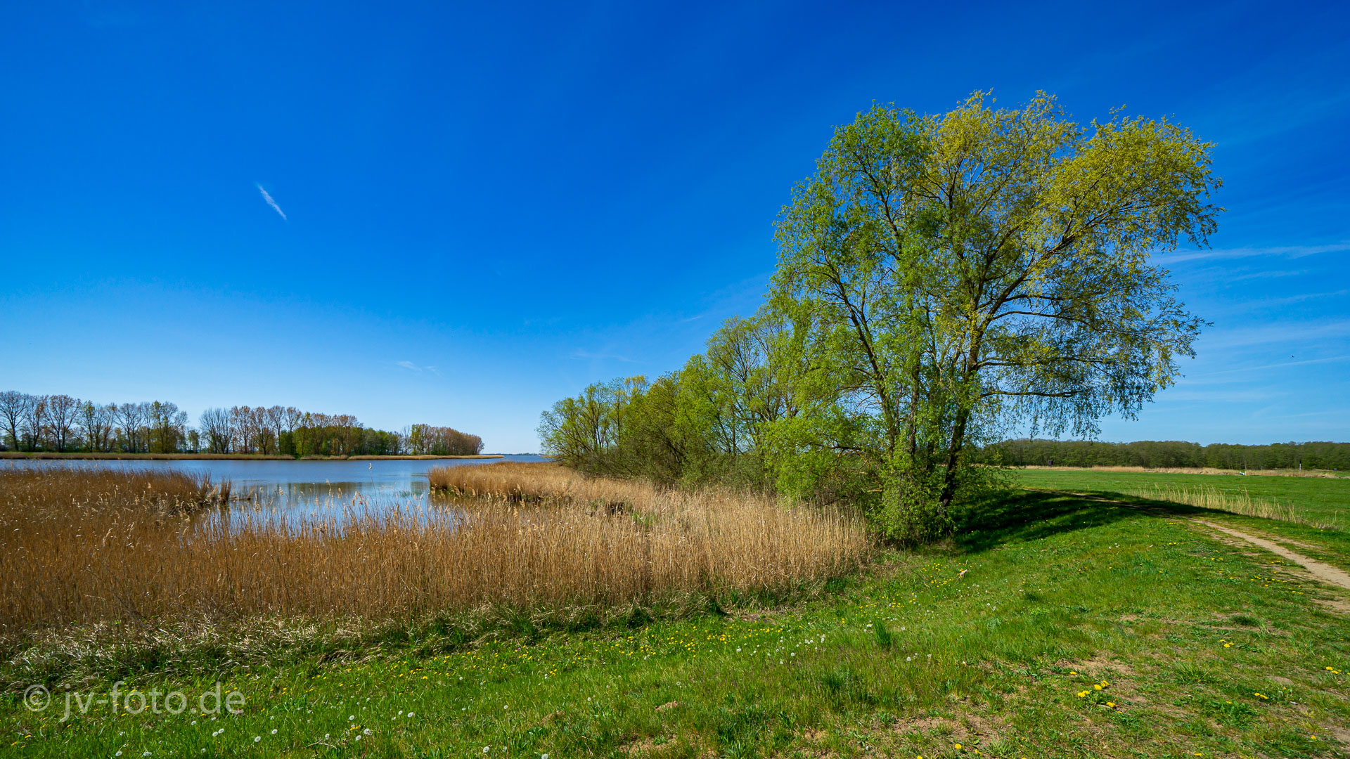 Bei Damerow