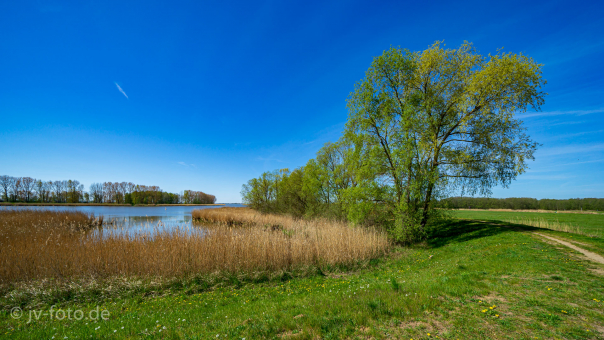 Bei Damerow