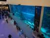 Dubai Aquarium