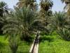 Nizwa