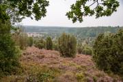 Steingrund