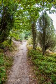 Steingrund