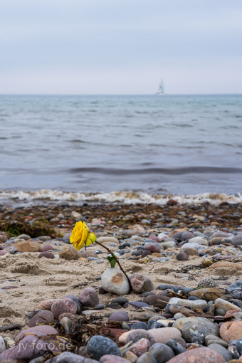 Am Strand