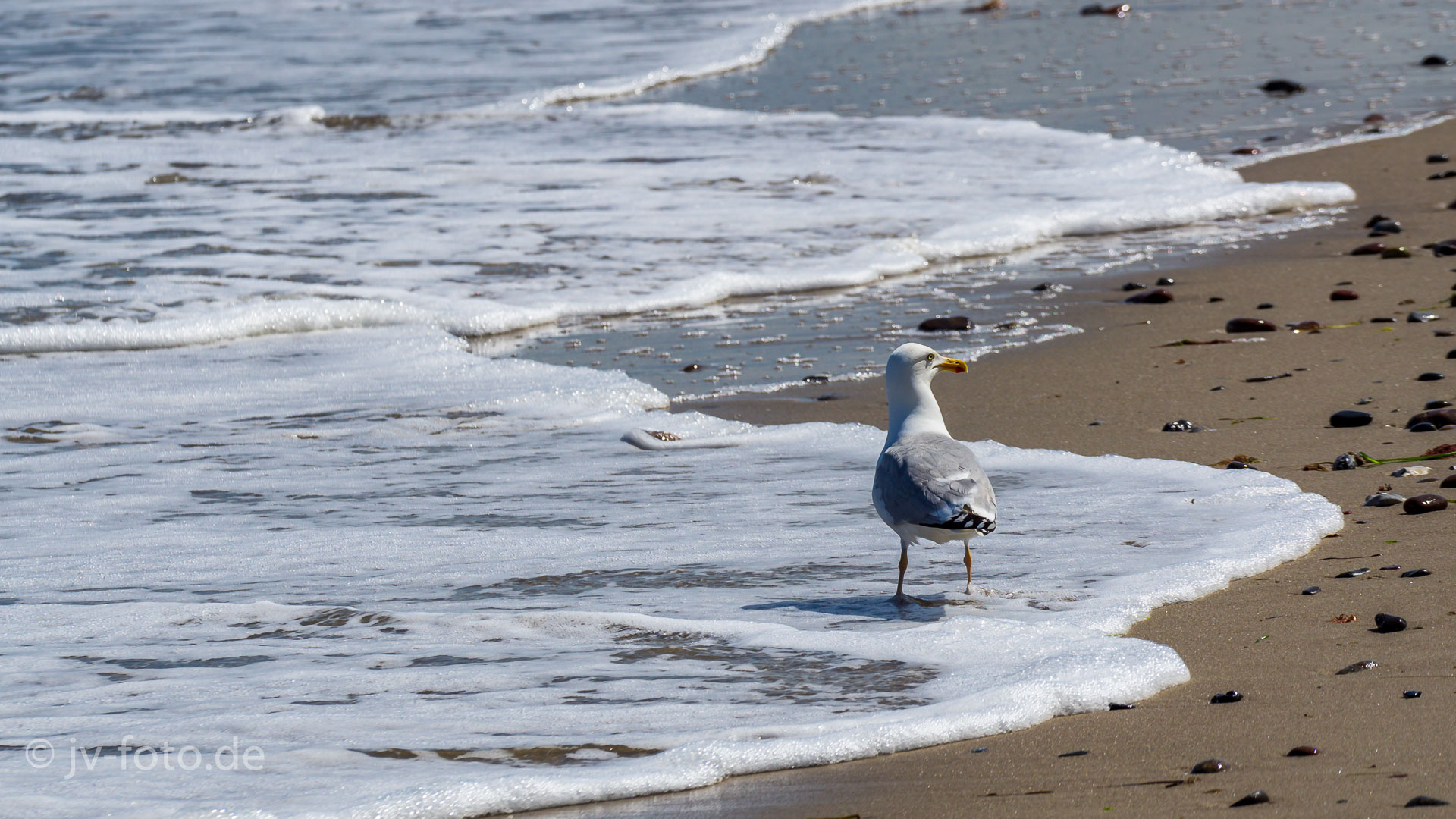 Am Strand