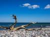 Am Strand
