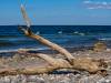 Am Strand