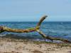 Am Strand