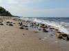 Am Strand