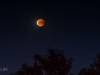 Blutmond