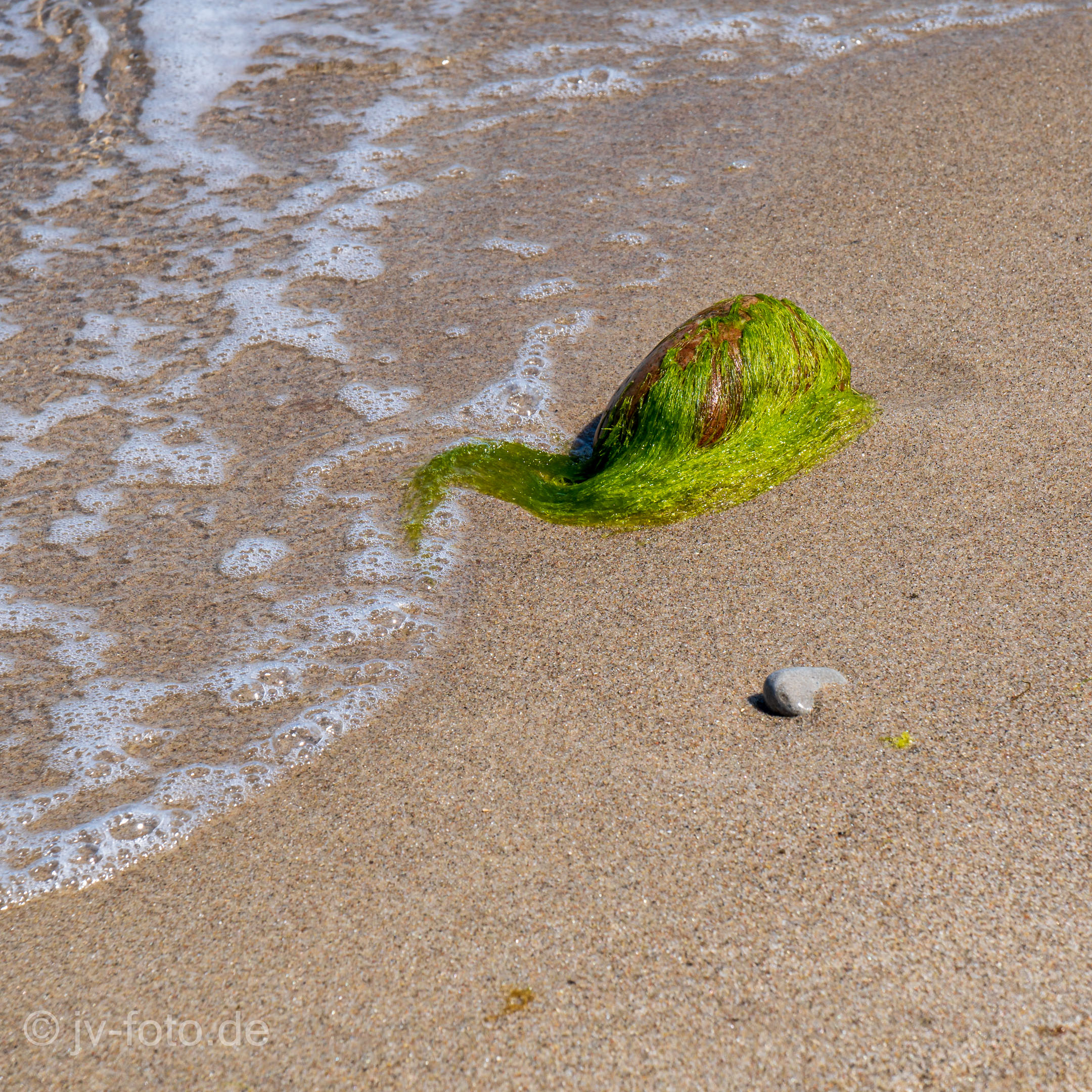 Strand bei Wittenbeck