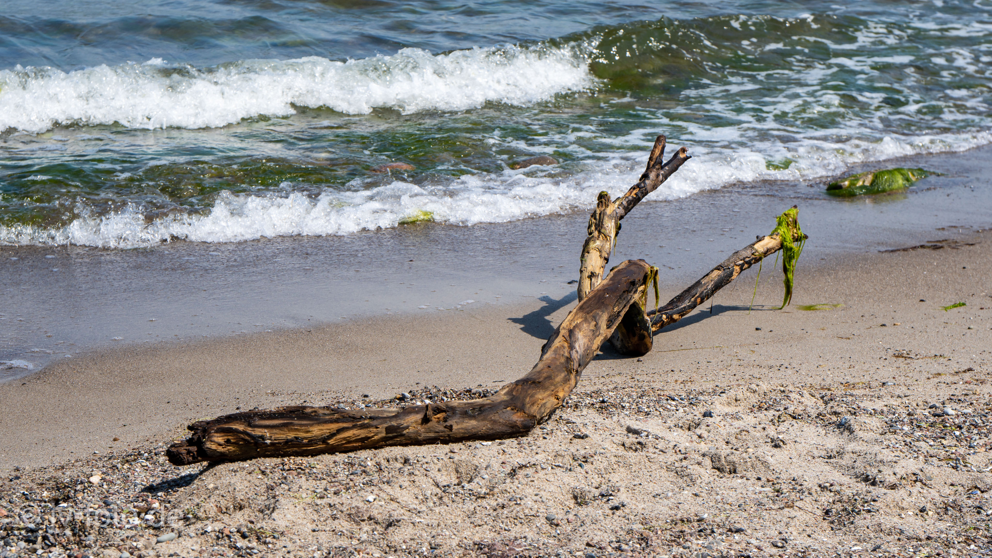 Strand bei Wittenbeck