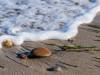 Am Strand