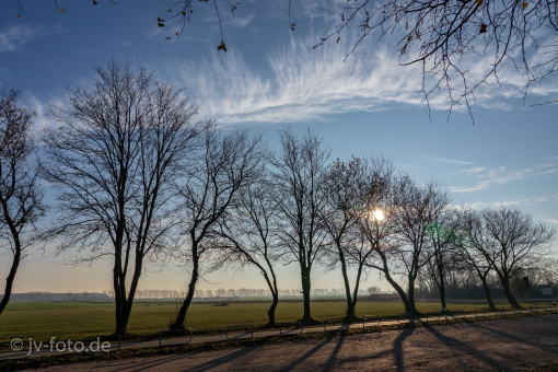 Morgens am Stellplatz