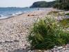 Am Strand